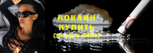 шишки Володарск
