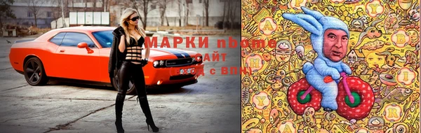 шишки Володарск