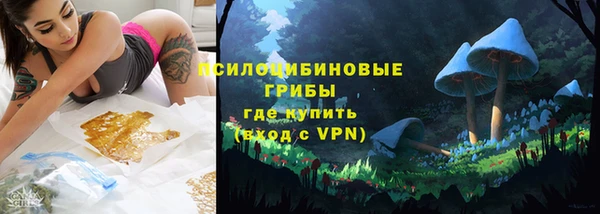 герыч Вяземский
