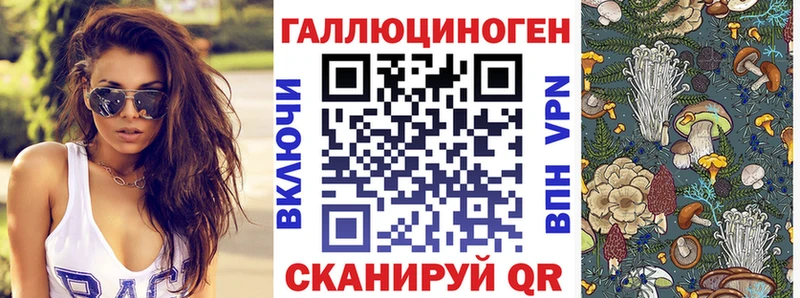 Галлюциногенные грибы мухоморы  магазин продажи наркотиков  Дзержинск 